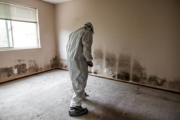 Best Mold Removal for HVAC Installations  in West Milton, PA